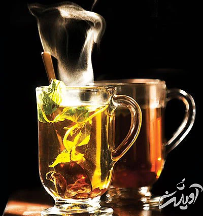 این نوشیدنیها گرما را به بندبند وجودتان برمیگرداند این نوشیدنیها گرما را به بندبند وجودتان برمیگرداند